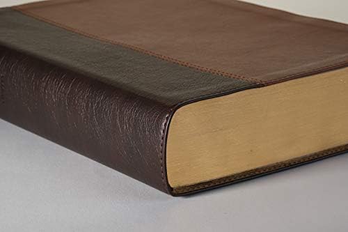 Every Man's Bible: New Living Translation, Large Print, TuTone (LeatherLike, Brown/Tan) – Study Bible for Men with Study Notes, Book Introductions, and 44 Charts by New Living Translation