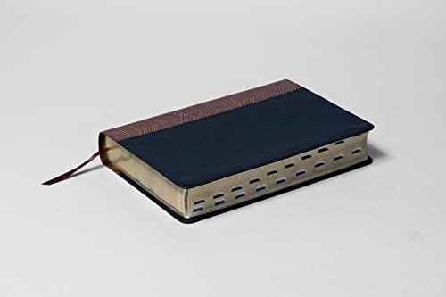 Reina Valera 1960 Biblia de Estudio Arcoíris, tostado/negro símil piel con índice | RVR 1960 Rainbow Study Bible, Tan/black LeatherTouch, Indexed (Spanish Edition) by B&H Español Editorial Staff