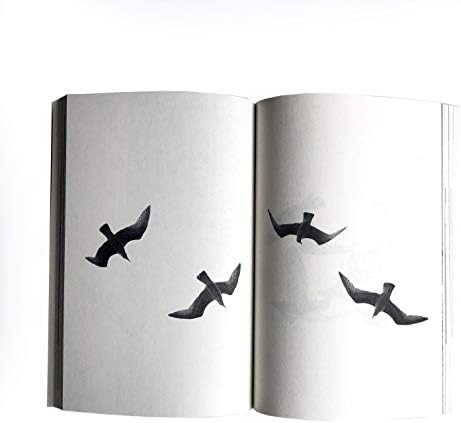 Juan Salvador Gaviota/Jonathan Livingston Seagull by Richard Bach