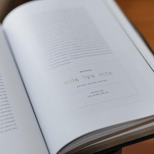 The Word on Fire Bible (Volume III): The Pentateuch (Paperback) (Word on Fire Bible Series) by Robert Barron