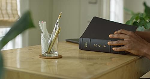ESV Study Bible (Buffalo Leather, Deep Brown): Holy Bible, English Standard Version by ESV Bibles