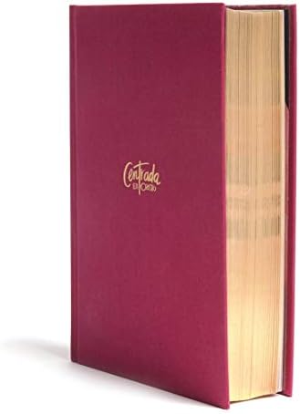 Reina Valera 1960 Biblia Devocional para Mujeres Centrada en Cristo, granada tapa | RVR1960 Centered in Christ Bible, Hardcover (Spanish Edition) by Paty Namnún