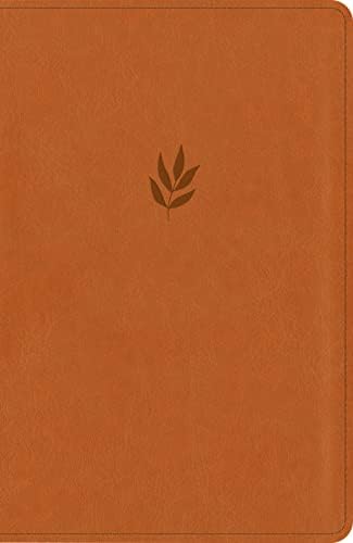 NLT Personal Size Giant Print Bible, DaySpring Signature Collection, Filament Enabled (LeatherLike, Classic Tan, Red Letter): DaySpring Signature Collection by New Living Translation