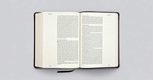 ESV Single Column Journaling Bible, Large Print (TruTone, Deep Brown): Holy Bible, English Standard Version by ESV Bibles