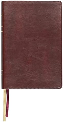 LSB Holy Bible, Large Print, Reddish-Brown Imitation Leather: Legacy Standard Bible in a Single-Column, Wide-Margin, Lay-Flat, Red Letter with 2 Ribbon Markers, 40 GSM Paper & Gold Gilded Pages by Steadfast Bibles