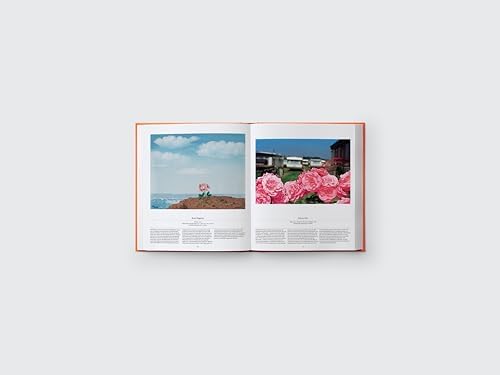 Flower: Exploring the World in Bloom by Phaidon Editors