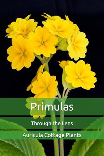 Primulas: Through the Lens by Auricula Cottage Plants