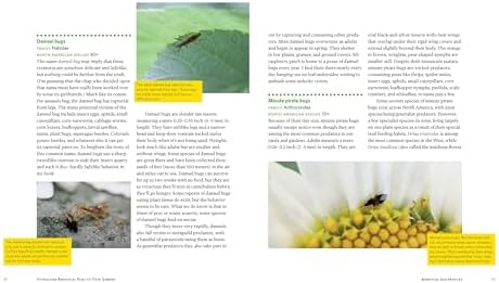 Attracting Beneficial Bugs to Your Garden, Revised and Updated Second Edition: A Natural Approach to Pest Control by Jessica Walliser