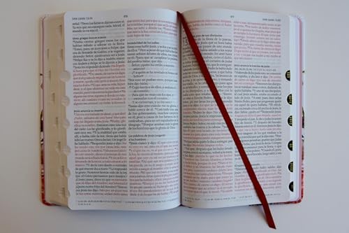 Biblia Reina Valera 1960 letra grande. Tela rosada con flores, manual con índice / Spanish Bible RVR 1960, Large Print, Pink Floral Cloth with Index (Spanish Edition) by Reina Valera Revisada 1960