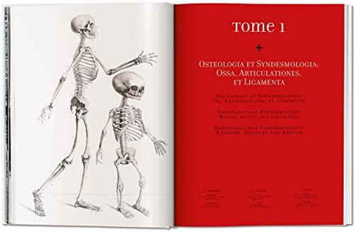 Bourgery. Atlas of Human Anatomy and Surgery (Multilingual Edition) by J. M. Bourgery