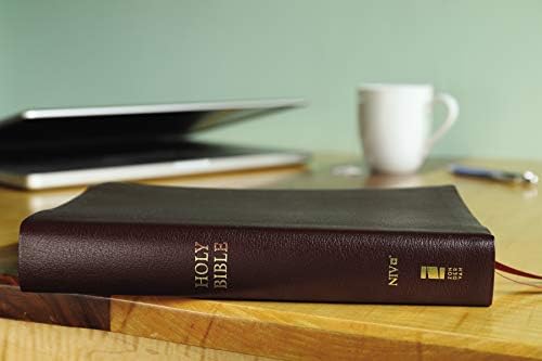NIV, Reference Bible, Giant Print, Bonded Leather, Burgundy, Red Letter, Thumb Indexed, Comfort Print by Zondervan