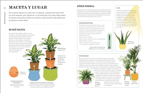 Cómo no matar tus plantas (How Not to Kill Your Houseplant): Nueva edición (Spanish Edition) by Veronica Peerless