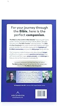 The Bible in a Year Companion, Volume II by Fr. Mike Schmitz