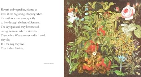 Lifetimes: The Beautiful Way to Explain Death to Children by Bryan Mellonie
