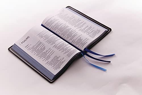 NIV, Thinline Bible, Large Print, Premium Goatskin Leather, Black, Premier Collection, Black Letter, Art Gilded Edges, Comfort Print by Zondervan