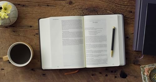 ESV Single Column Journaling Bible, Artist Series (Hardcover, Joshua Noom, The Lion and the Lamb): Holy Bible, English Standard Version by ESV Bibles
