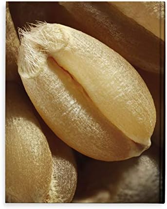 Modernist Bread by Nathan Myhrvold