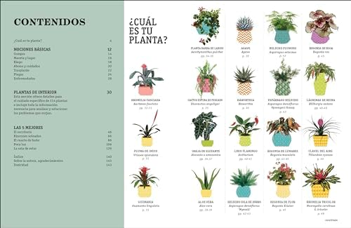 Cómo no matar tus plantas (How Not to Kill Your Houseplant): Nueva edición (Spanish Edition) by Veronica Peerless