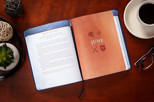 Daily Wisdom for Men: A 365-Day Devotional – Encouragement to Be a Man of Integrity, Strength, and Wisdom Every Day by Dan Britton