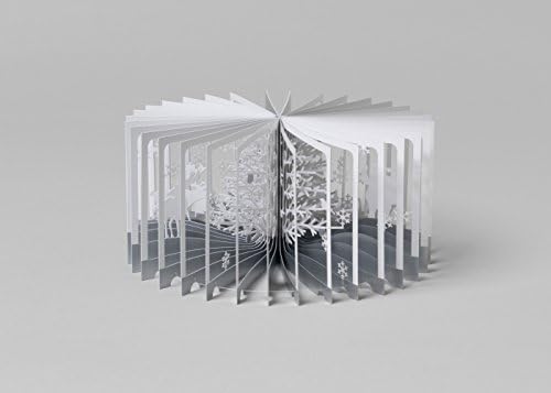 Snowy World 360 Book - Yusuke Oono by Unknown