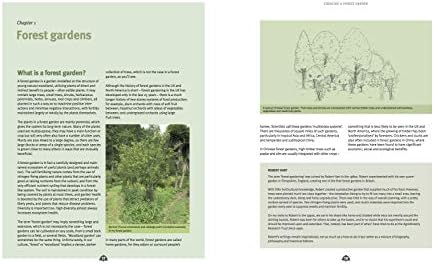 Creating a Forest Garden: Working with Nature to Grow Edible Crops by Martin Crawford