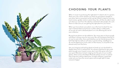 Little Book of House Plants and Other Greenery by Emma Sibley