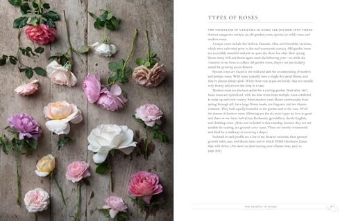 Grace Rose Farm: Garden Roses: The Complete Guide to Growing & Arranging Spectacular Blooms by Gracielinda Poulson