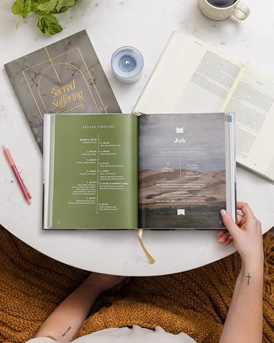 The Bible Handbook: A Book-by-Book Guide to the Entire Bible by The Daily Grace Co.