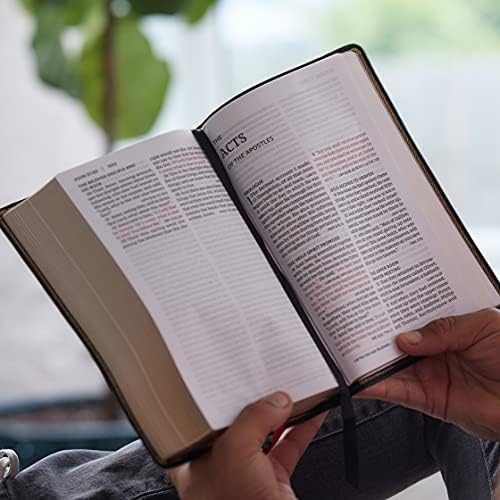 NKJV, End-of-Verse Reference Bible, Personal Size Large Print, Leathersoft, Black, Red Letter, Comfort Print: Holy Bible, New King James Version by Thomas Nelson