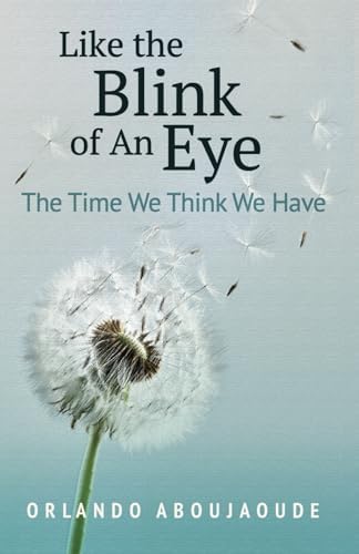 Like The Blink Of An Eye: The Time We Think We Have by Orlando Aboujaoude