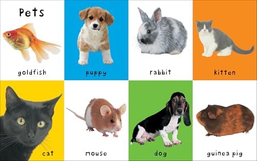First 100 Animals: A padded book―perfect for little hands to hold by Roger Priddy
