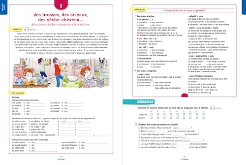 100% FLE - Grammaire essentielle du français B1- livre + didierfle.app by Ludivine Glaud