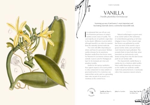 Fragrance: From plant to perfume, the botanical origins of scent (Royal Botanic Gardens, Kew) by Josh Carter