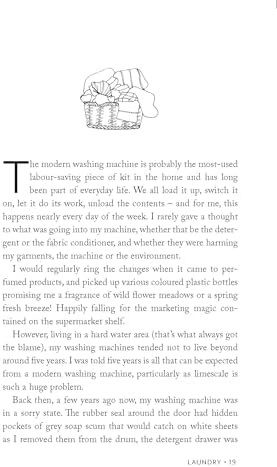 Clean & Green: 101 Hints and Tips for a More Eco-Friendly Home by Nancy Birtwhistle