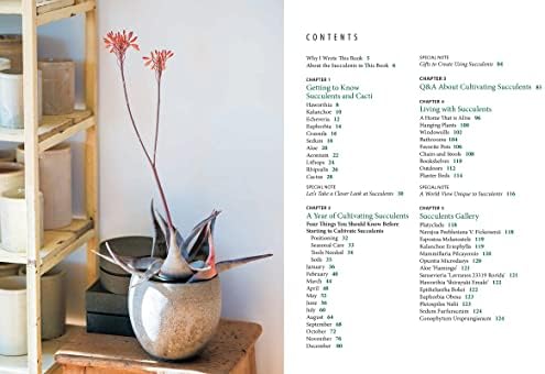 Succulents for Beginners: A Year-Round Growing Guide for Healthy and Beautiful Plants (over 200 Photos and Illustrations) by Misa Matsuyama
