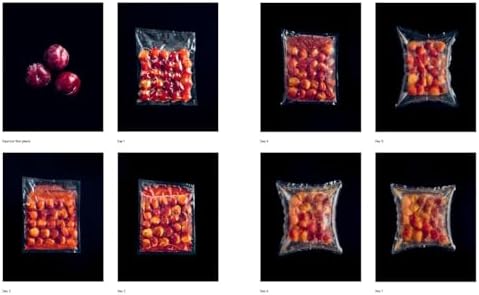 The Noma Guide to Fermentation: Including koji, kombuchas, shoyus, misos, vinegars, garums, lacto-ferments, and black fruits and vegetables (Foundations of Flavor) by René Redzepi