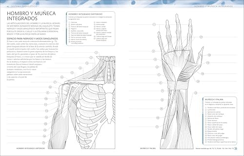 Atlas de anatomía para colorear (The Human Body Coloring Book): Guía de estudio (Spanish Edition) by DK