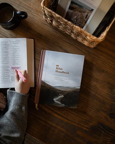The Bible Handbook: A Book-by-Book Guide to the Entire Bible by The Daily Grace Co.