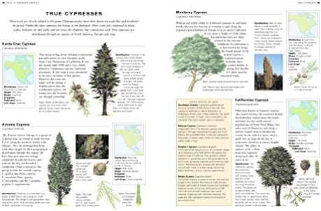 The World Encyclopedia of Trees: A Reference and Identification Guide to 1300 of the World's Most Significant Trees by Tony Russell