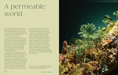 Hello Tiny World: An Enchanting Journey into the World of Creating Terrariums by Ben Newell