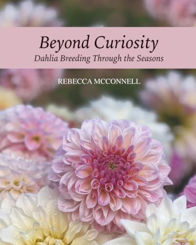 Beyond Curiosity: Dahlia Breeding Through the Seasons by Rebecca McConnell