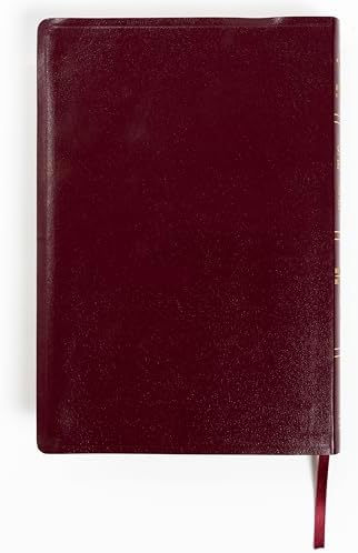 RVR 1960/KJV Biblia bilingüe letra grande, borgoña imitación piel, con índice (2024 ed.) / RVR 1960/KJV Large Print Bilingual Bible Burgundy Imitation Leather Indexed (2024 Edition) (Spanish Edition) by B&H Español Editorial Staff