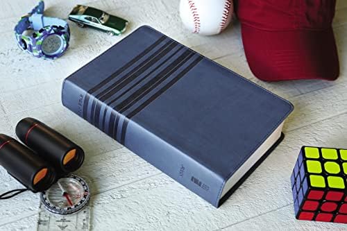 NIrV, Holy Bible, Large Print, Leathersoft, Blue by Zondervan