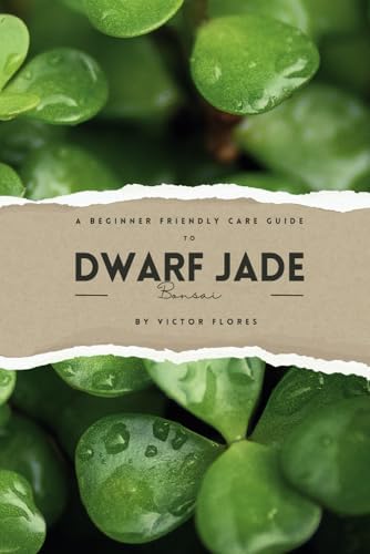 A Beginner Friendly Care Guide to Dwarf Jade Bonsai by Victor Flores