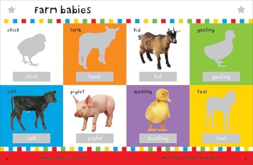 First 100 Animals Stickers Book: 500 Stickers by Roger Priddy