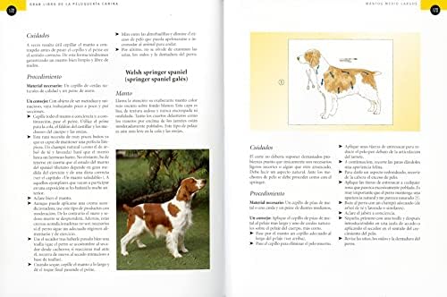 Peluquería canina. Guía completa para el cuidado, aseo y peinado de 170 razas de perros (Spanish Edition) by Eileen Geeson