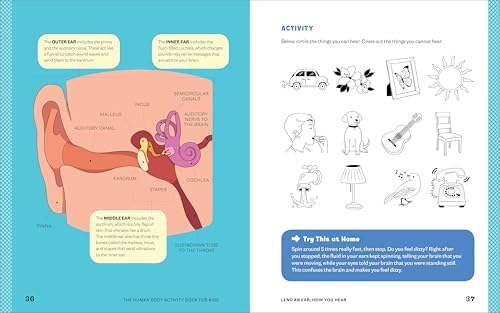 Human Body Activity Book for Kids: Hands-On Fun for Grades K-3 by Katie Stokes MEd PhD