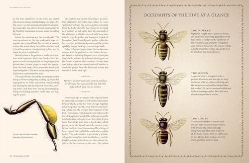 The Beekeeper's Bible: Bees, Honey, Recipes & Other Home Uses (The Backyard Naturalist Series) by Richard A. Jones