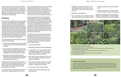 Creating a Forest Garden: Working with Nature to Grow Edible Crops by Martin Crawford