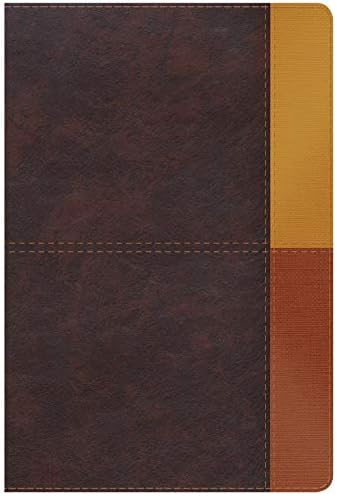 Reina Valera 1960 Biblia de Estudio Arcoíris, cocoa/ terracota símil piel con índice | RVR 1960 Rainbow Study Bible, cocoa/terracotta LeatherTouch Indexed (Spanish Edition) by B&H Español Editorial Staff